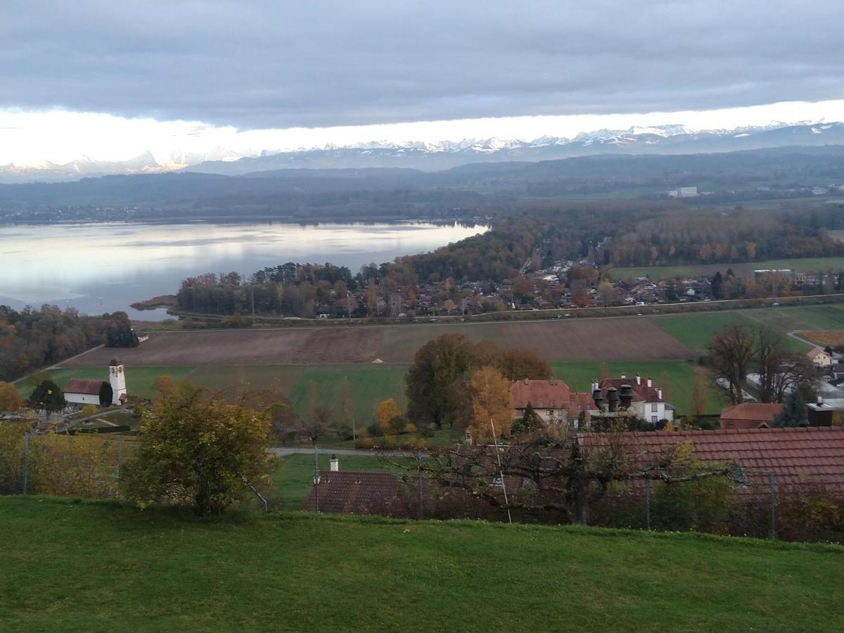 Swiss Borzoi House Bed & Breakfast Vully-les-Lacs Exterior photo