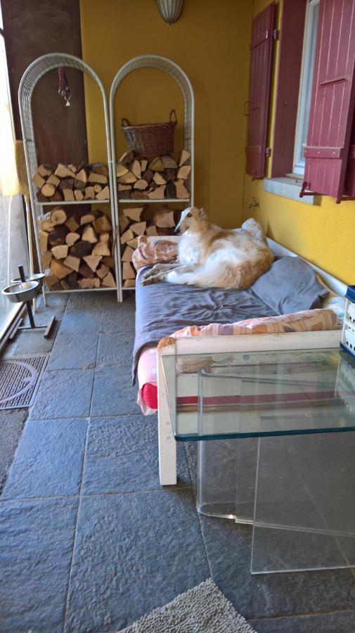 Swiss Borzoi House Bed & Breakfast Vully-les-Lacs Exterior photo