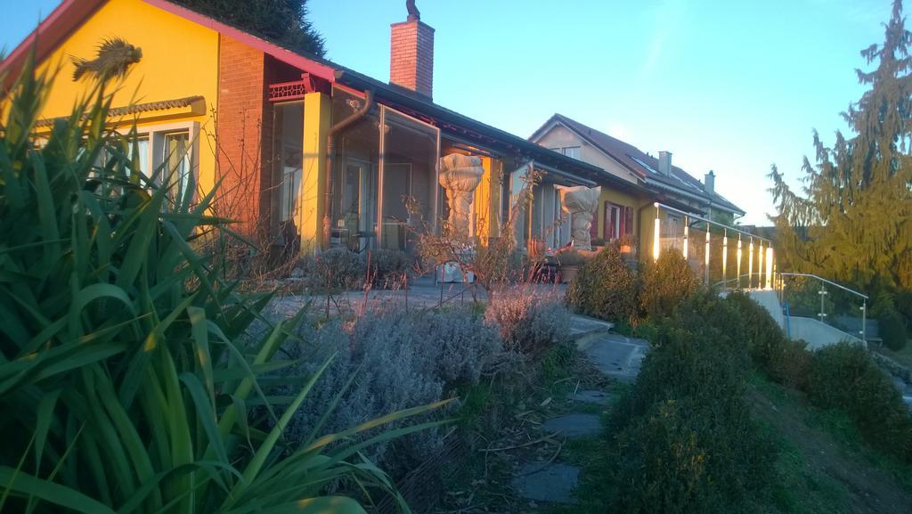 Swiss Borzoi House Bed & Breakfast Vully-les-Lacs Room photo