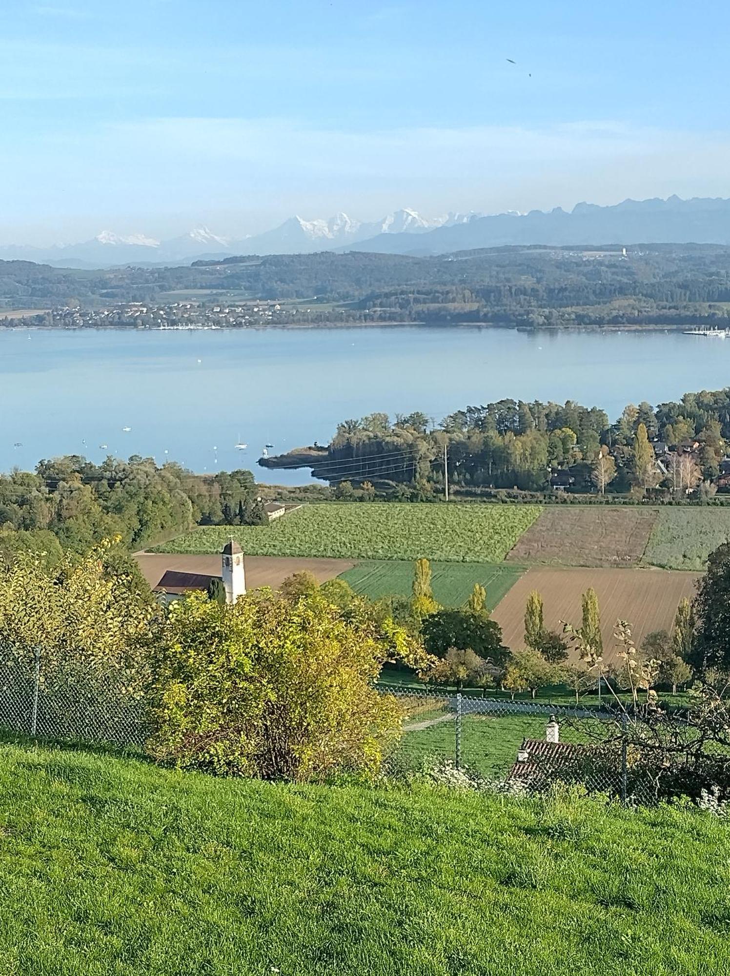 Swiss Borzoi House Bed & Breakfast Vully-les-Lacs Exterior photo