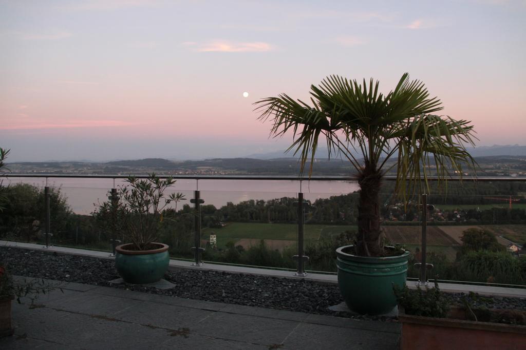 Swiss Borzoi House Bed & Breakfast Vully-les-Lacs Room photo