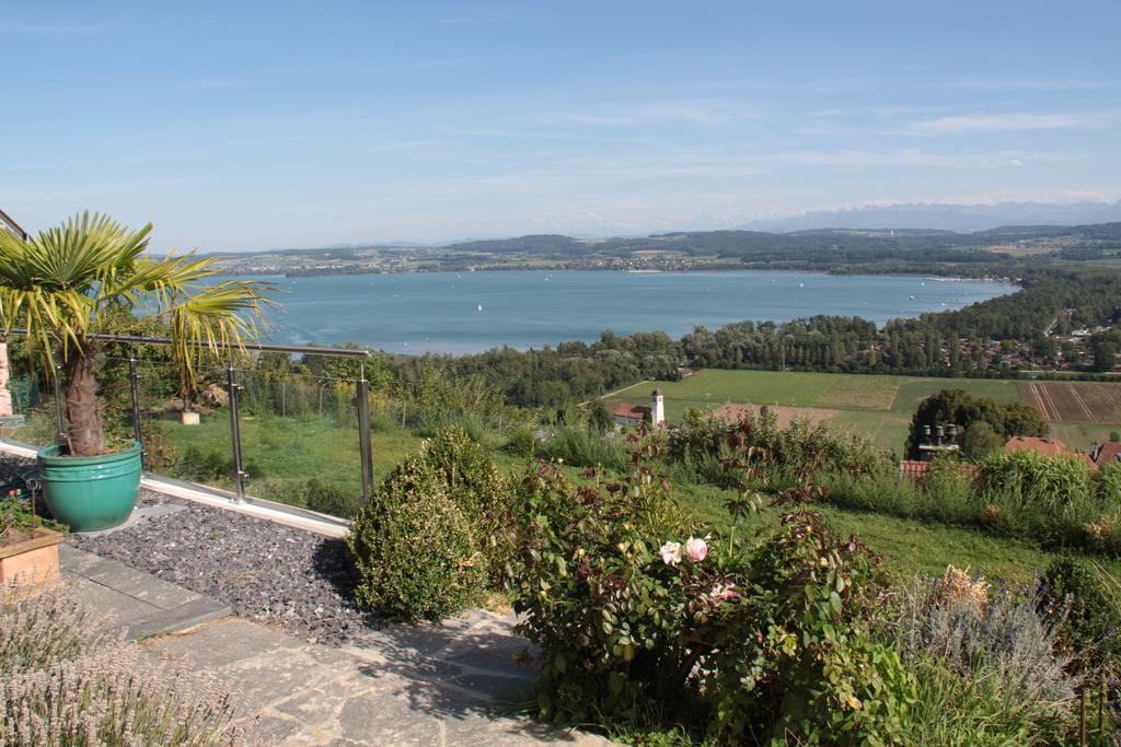 Swiss Borzoi House Bed & Breakfast Vully-les-Lacs Room photo