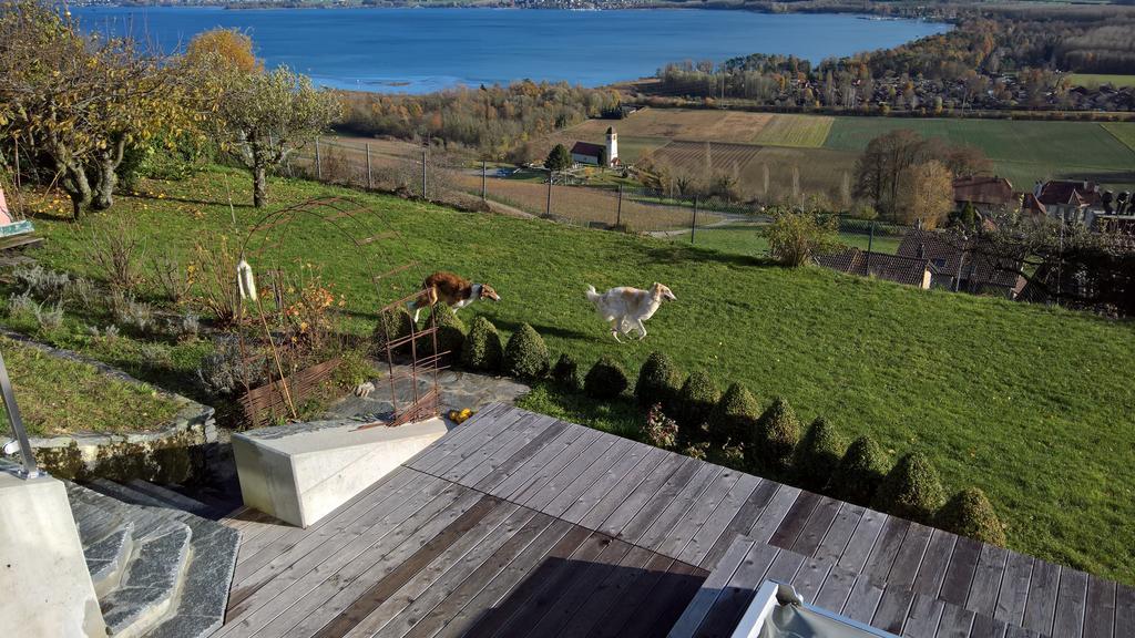 Swiss Borzoi House Bed & Breakfast Vully-les-Lacs Exterior photo
