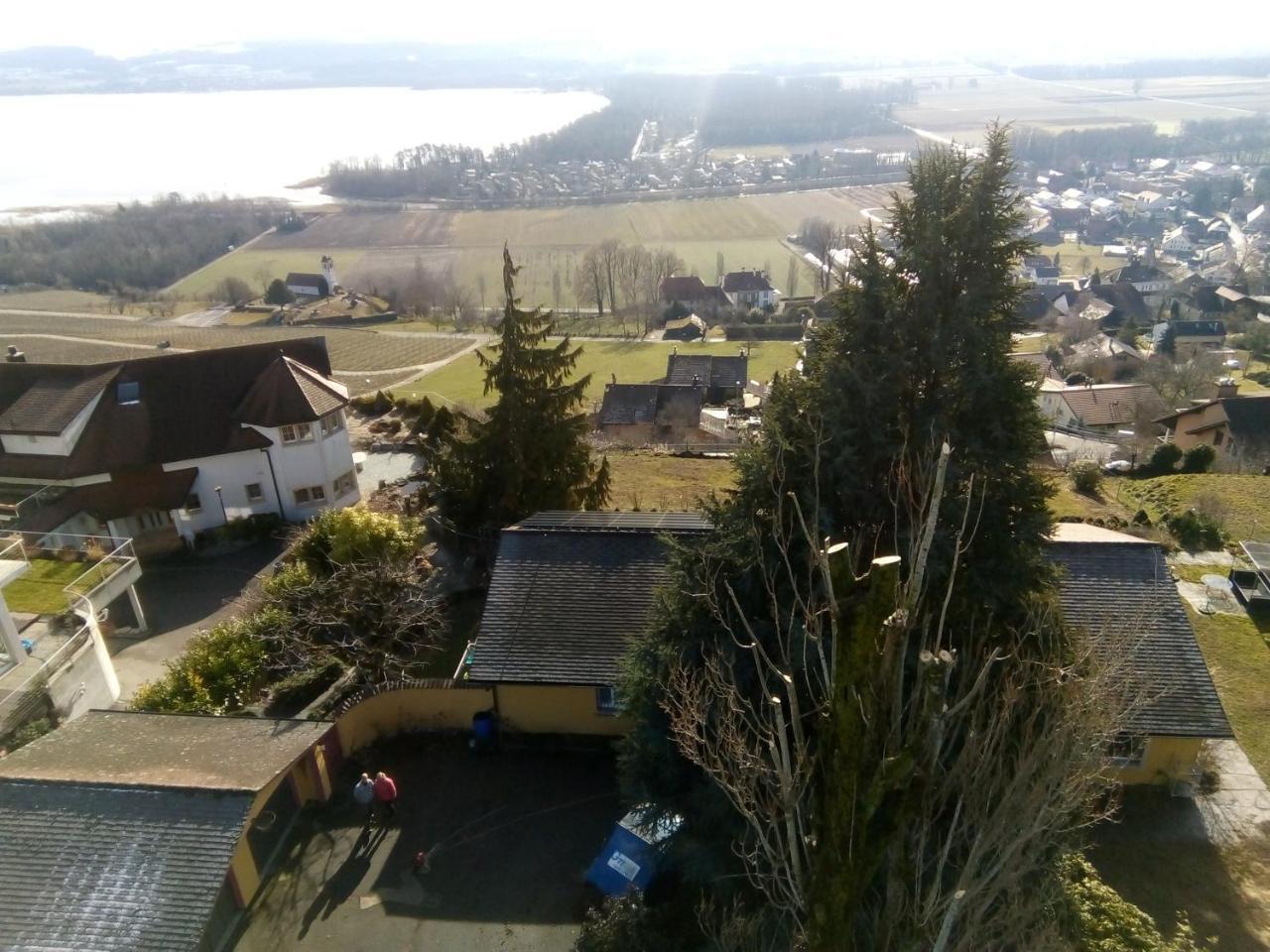 Swiss Borzoi House Bed & Breakfast Vully-les-Lacs Exterior photo